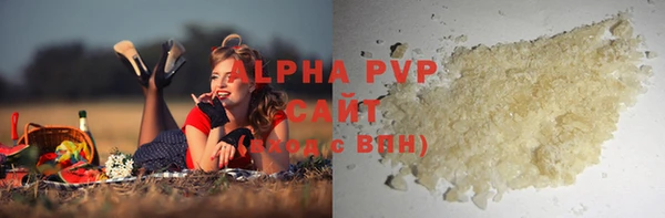 гидра Корсаков