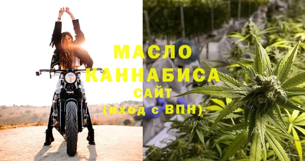гидра Корсаков