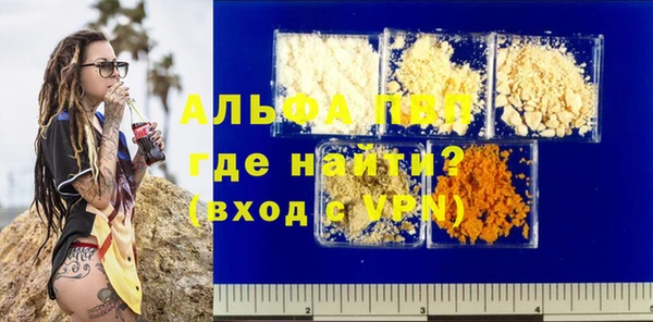 гидра Корсаков