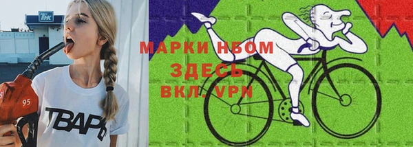 гидра Корсаков