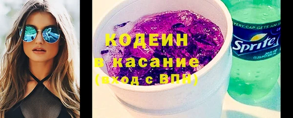 ГАЛЛЮЦИНОГЕННЫЕ ГРИБЫ Костерёво