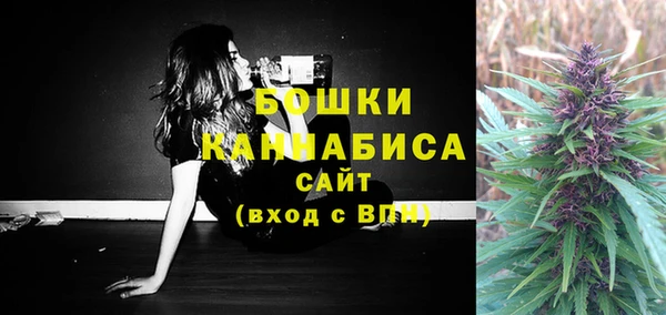 винт Коряжма